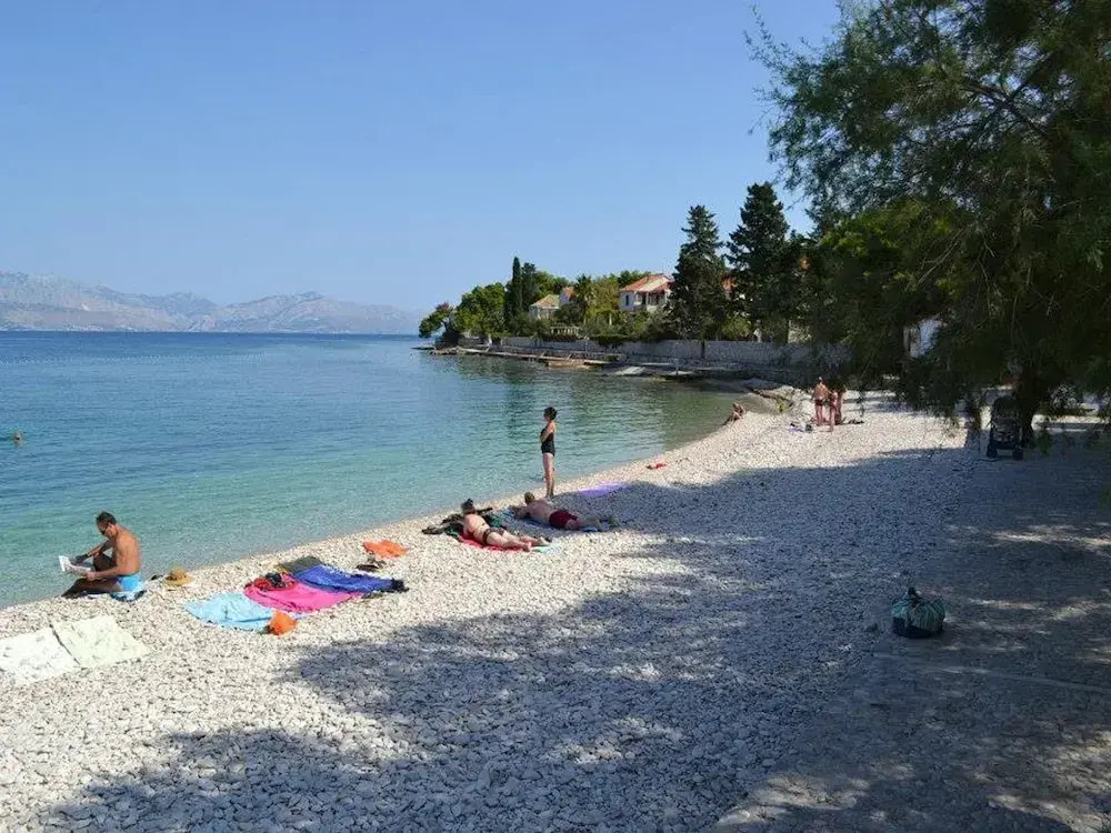 Neda - 80m From the sea - A1