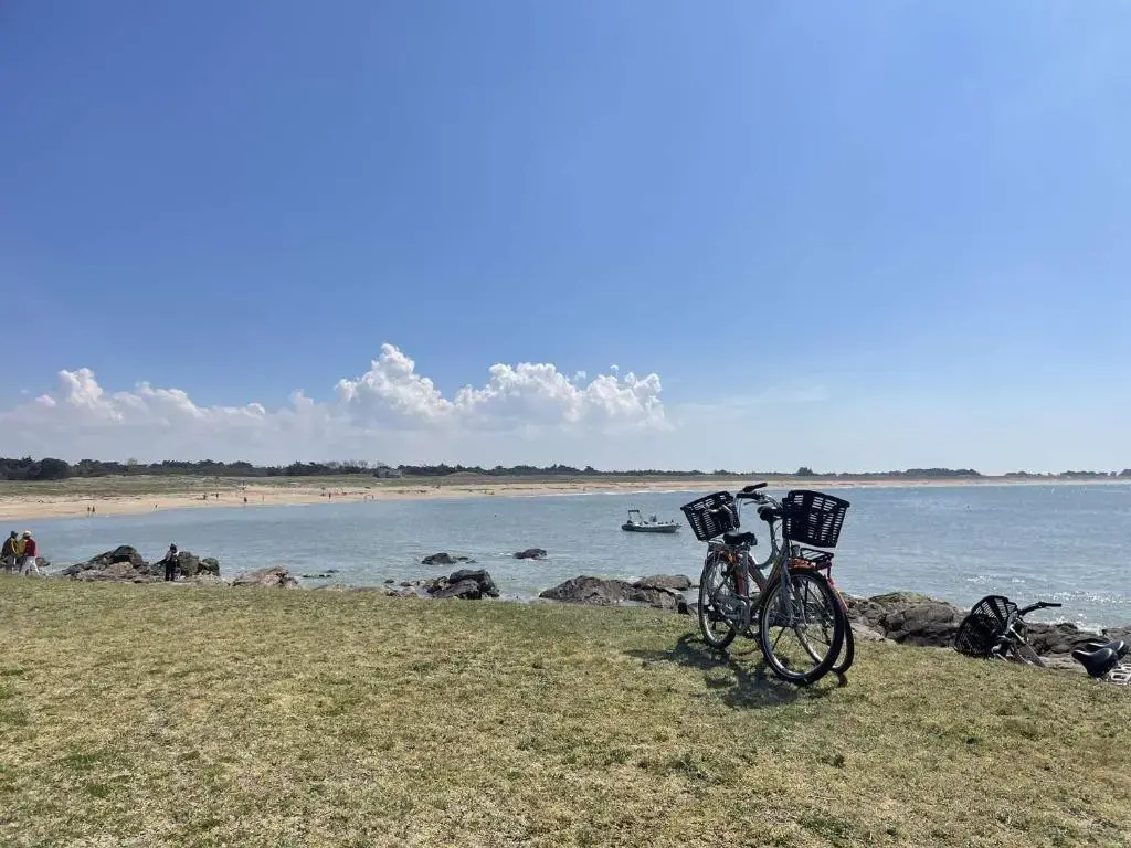 Appartement Noirmoutier-en-l'Île, 1 pièce, 4 personnes - FR-1-224B-99