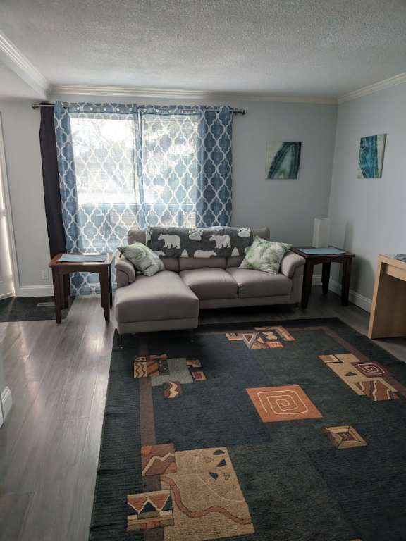 Cozy 1-bedroom Apartment in Edmonton - Perfect City Retreat