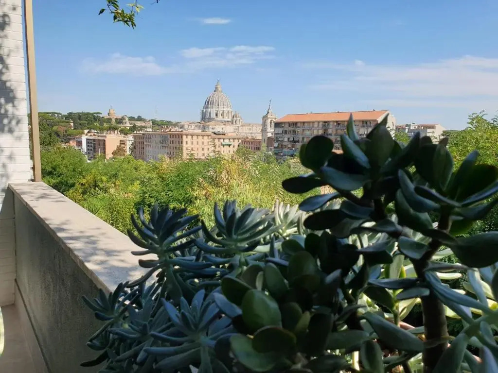 Delmirani's Book Apartments - Vatican View