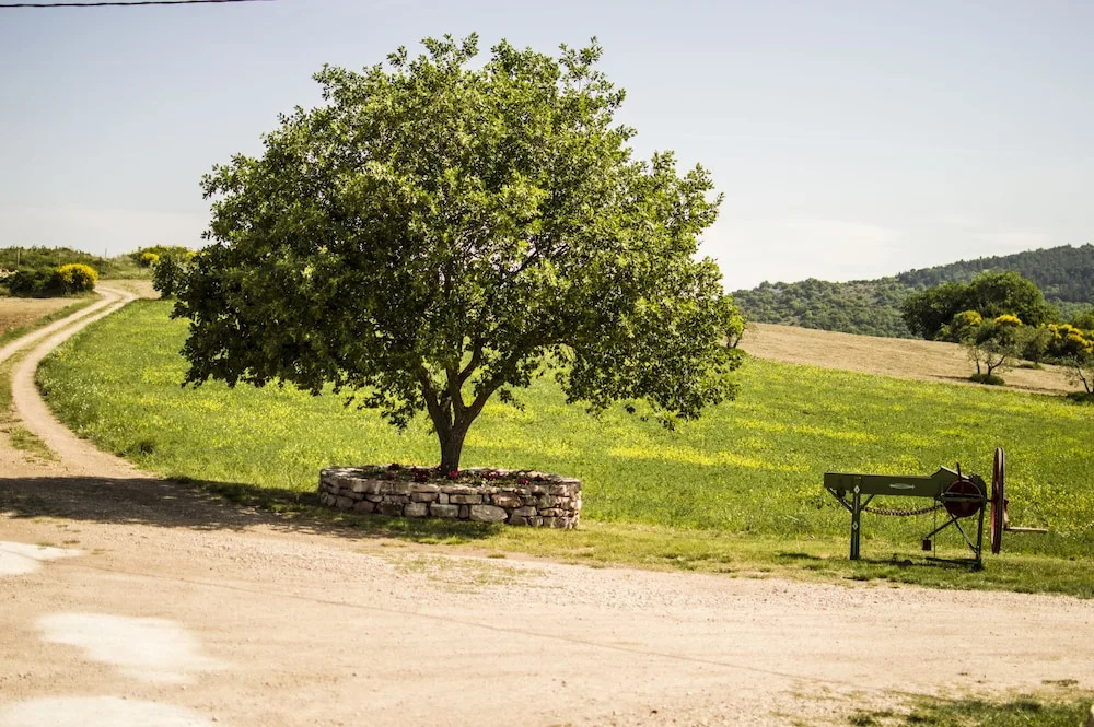 Agriturismo La Collina
