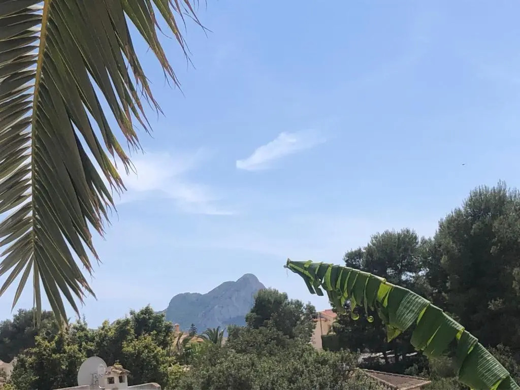 Casa sobre el Mar, a beautiful Oasis 1000m from beach