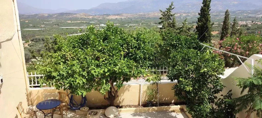 Serenity Courtyard village apartment