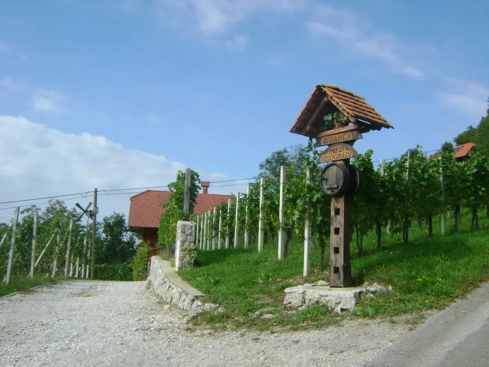 Vineyard cottage Med vinogradi