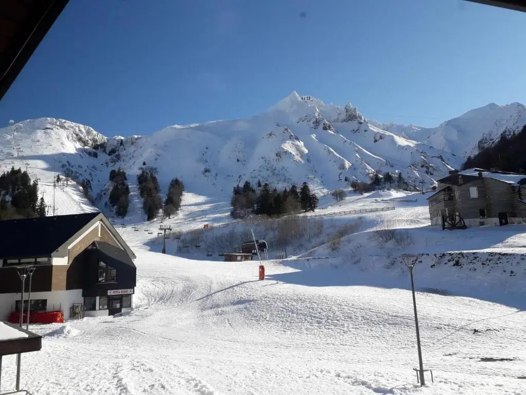 Appartement Mont-Dore, 2 pièces, 5 personnes - FR-1-415-113