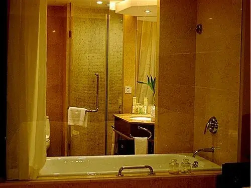 Shenzhen Century Kingdom Hotel