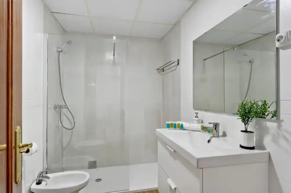 Del Parque Flats - Ollerias 27