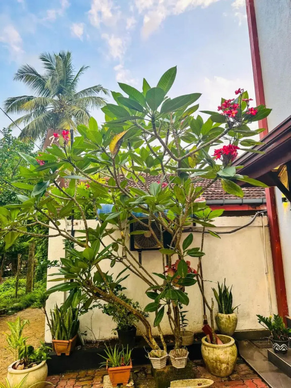 Vista BnB Galle