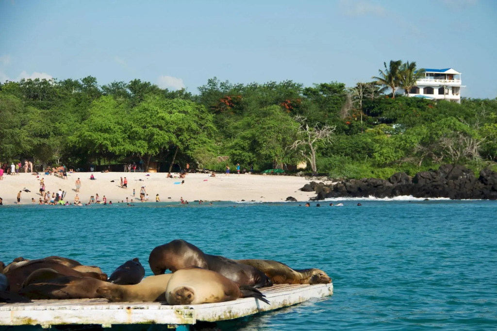 Galápagos Casa Playa Mann