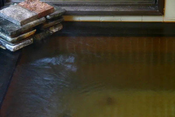 Ryokan Katsuraso