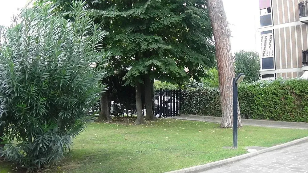 Il Fenicottero Rosa - Monteverde