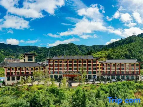 Vienna International Hotel (Longsheng Longji Branch)