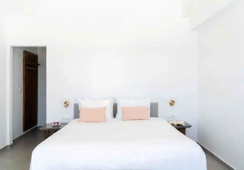Amazing Santorini Villa Blue Horizon Villa 1 Bedroom Outdoor Plunge Pool