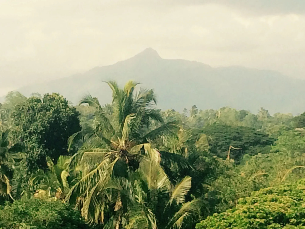 Mount River View