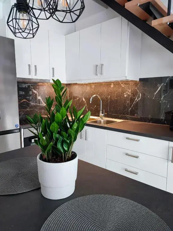 Freesia Loft Apartment