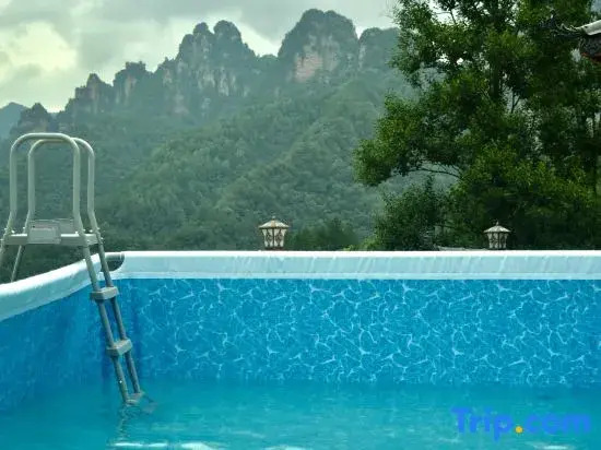 Poetic Tangwan Mountain Retreat - In Zhangjiajie National Forest Park - Free Pickup，Travel Services