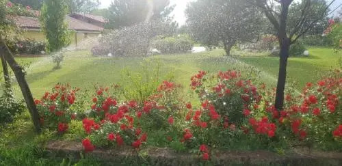 Casale Delle Rose