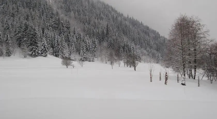 Chalet Zaria