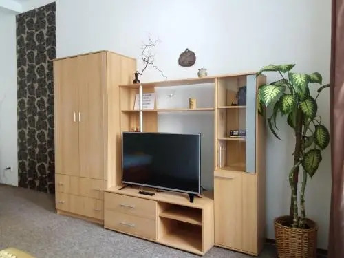 Apartment Centrum
