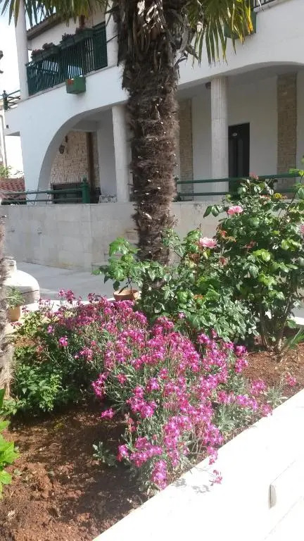 Apartments Šorić