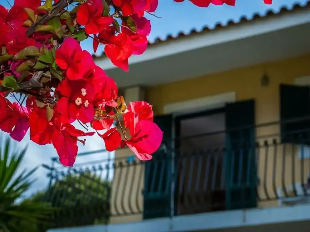 Stefanos Studios