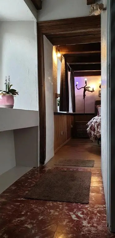 La petite romantique