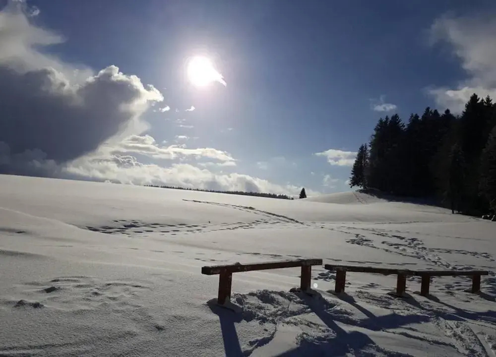 Geräumige Wohnung in Dachsberg-Urberg