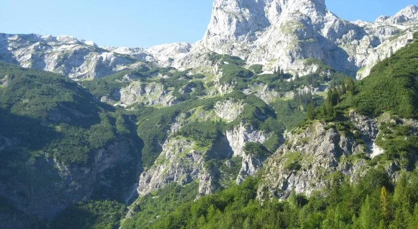 Bio Bauernhof Vorderoberlehen