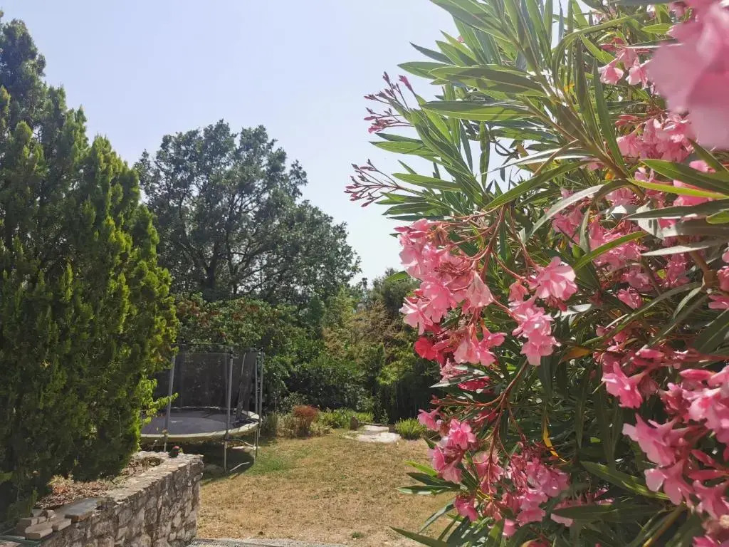 Guest House Casa Cassien