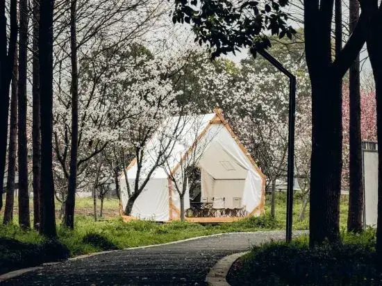 Sunarea Family Camp