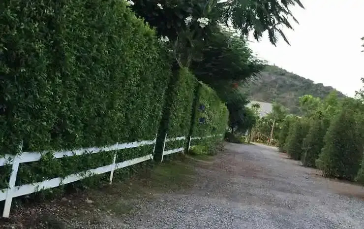 Sensee Valley Resort