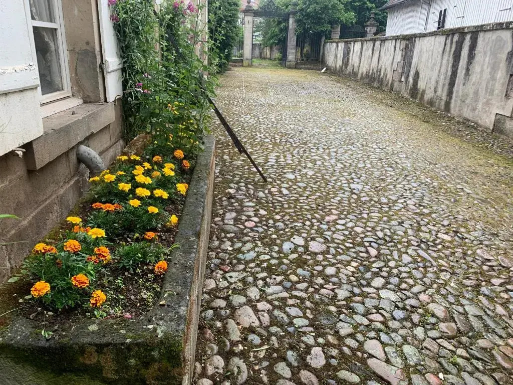 Les Jardins d'Élise, calme et verdure à Lure