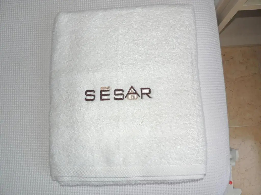 SESAR Padrón VUT-CO-001865