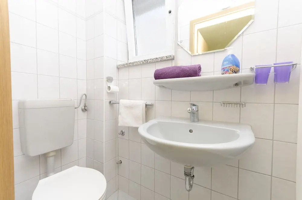 Apartment and Room Ilija