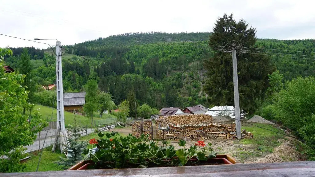 Pensiunea Jianu