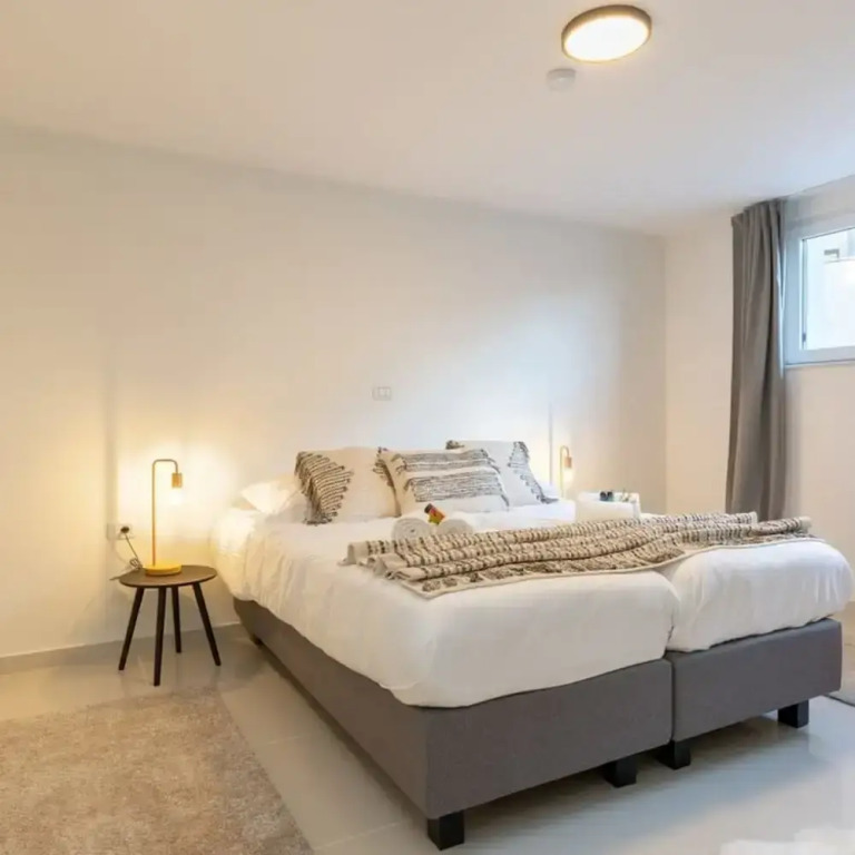 Stylish Duplex Apartment in a Renovated Town House