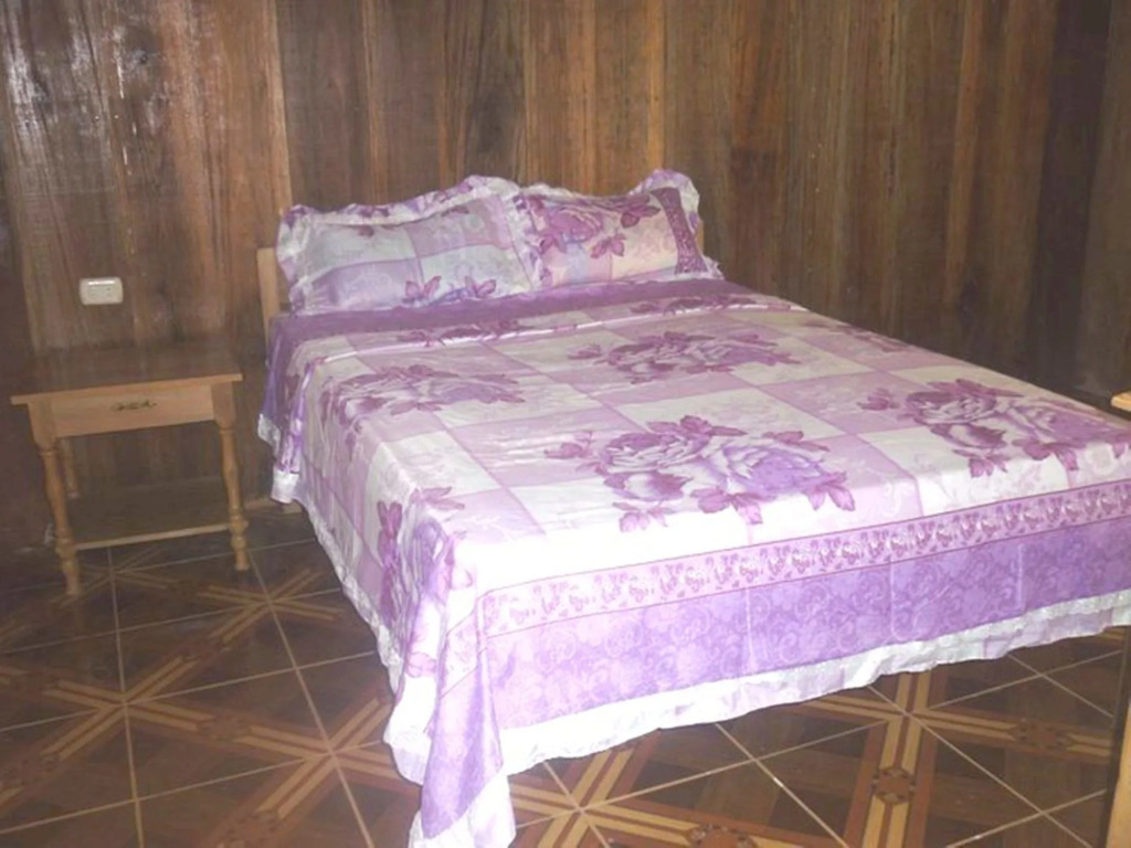 Amazon Eco Tours & Lodge