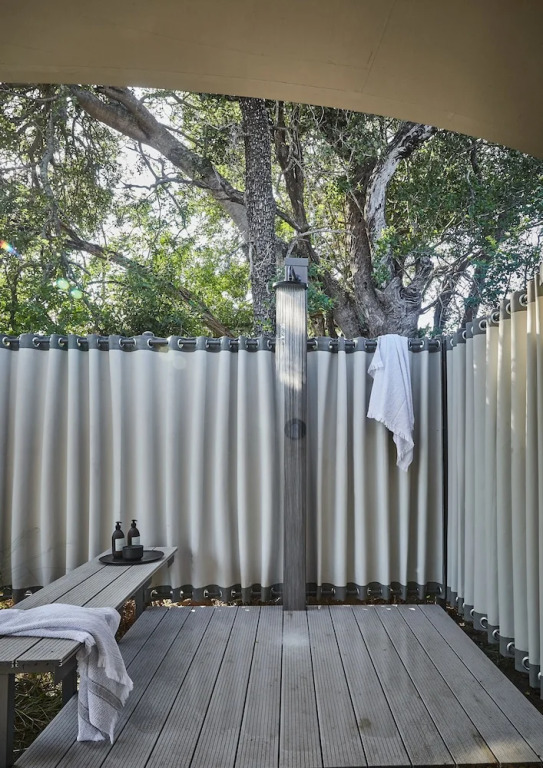 Thornybush Saseka Tented Camp