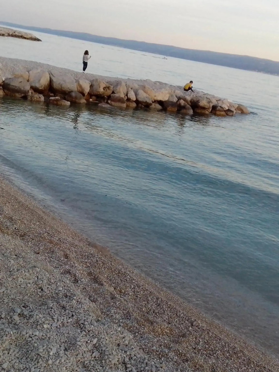 Summer rest