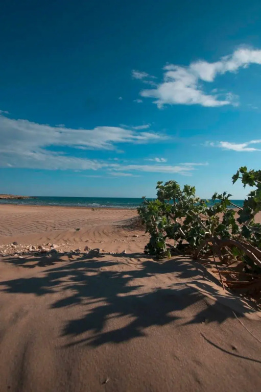 Hotel Le Dune