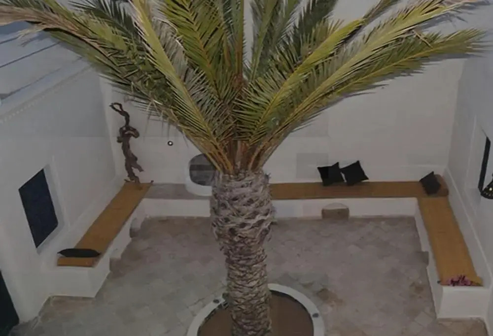 Dar Ennour Djerbahood Erriadh