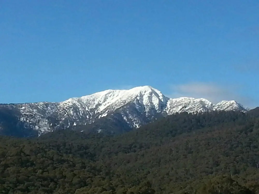 View Mount