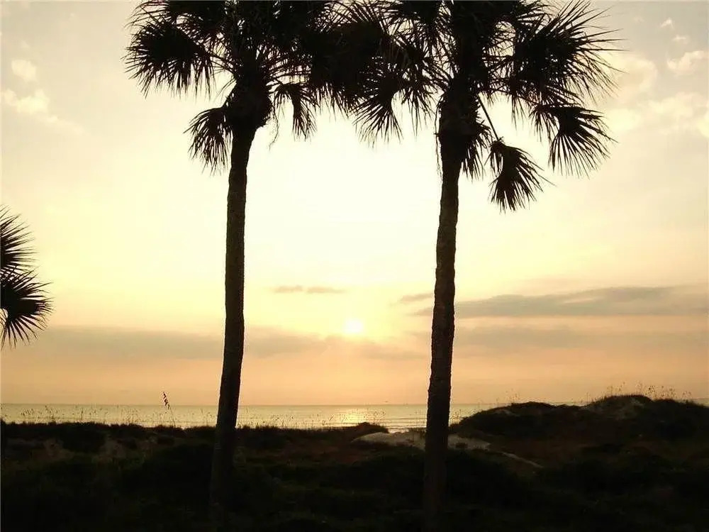 Chautauqua Palms D
