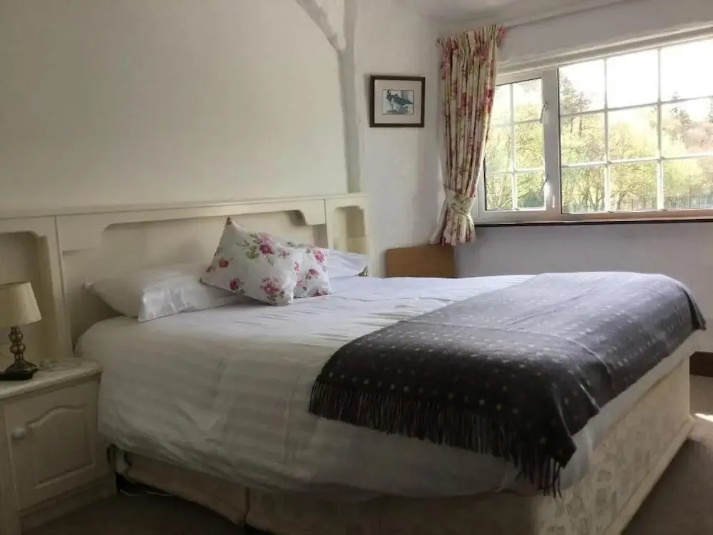 Ryans River Lodge B&B