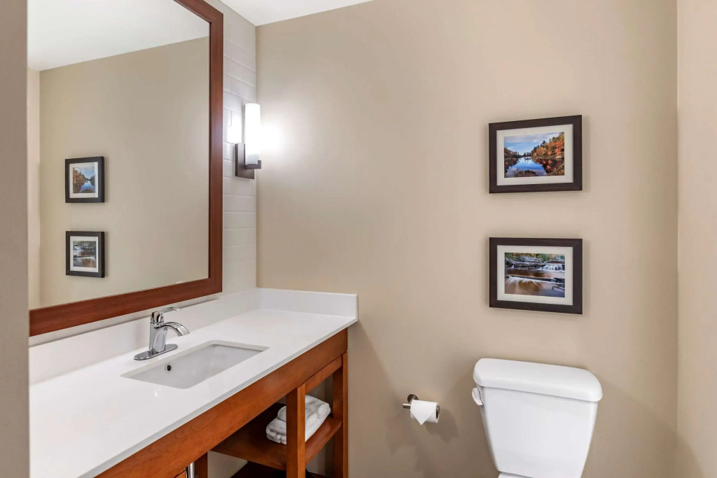 Comfort Inn & Suites Clarkston Pine Knob Area