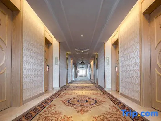 Vienna International Hotel (Danzhou Yangpu)
