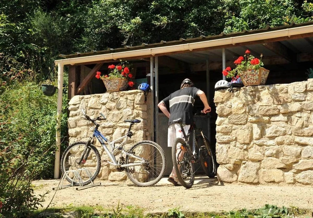 Les Fous de Bassans