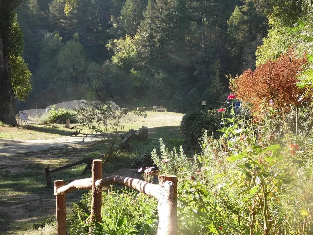 Riverlane Resort