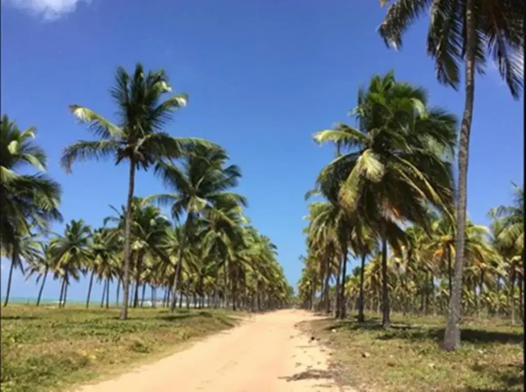 Pousada Da Monica