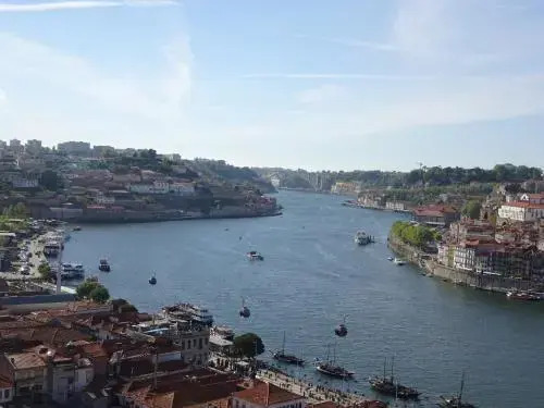 Bom dia Porto